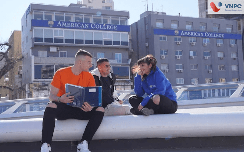 Trường American College Síp: Điều kiện, chi phí và ngành học